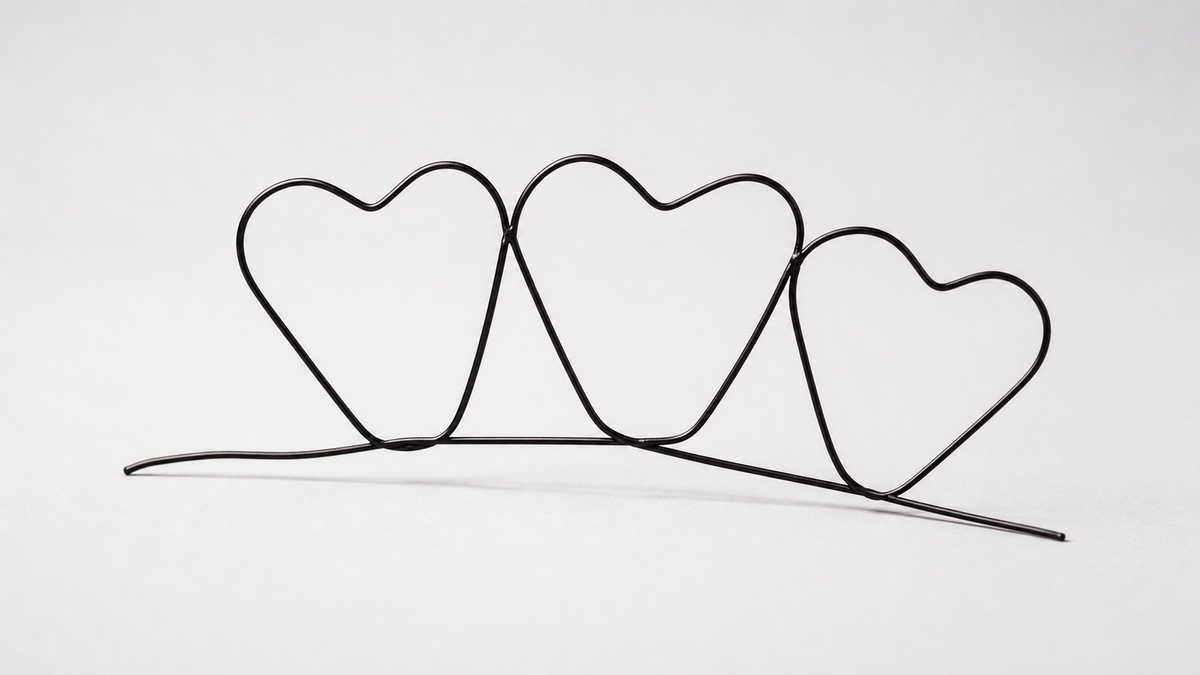 Wiregrams trick (3h) on a neutral studio background