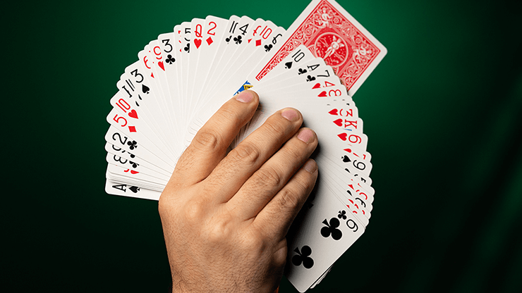 Fiedlers Flyer (With Online Instruction) by DARYL - Trick