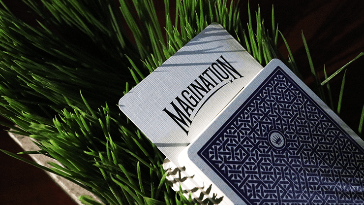 DMC Alpha V3 (Purple) Portcullis with Online Instructions