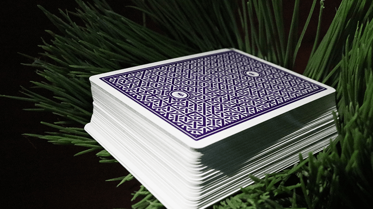 DMC Alpha V3 (Purple) Portcullis with Online Instructions