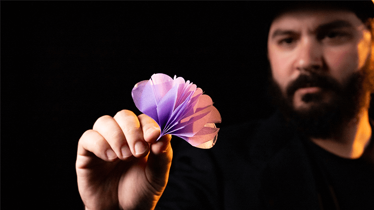 SPRING FLOWERS (2 PK PAPER) by Murphy's Magic