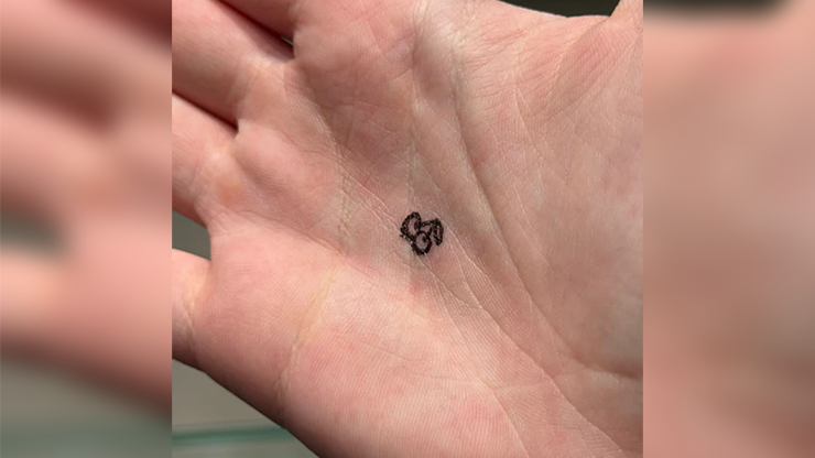 Cherries Stamp for Double Cross By Magic Smith X Magic Dream