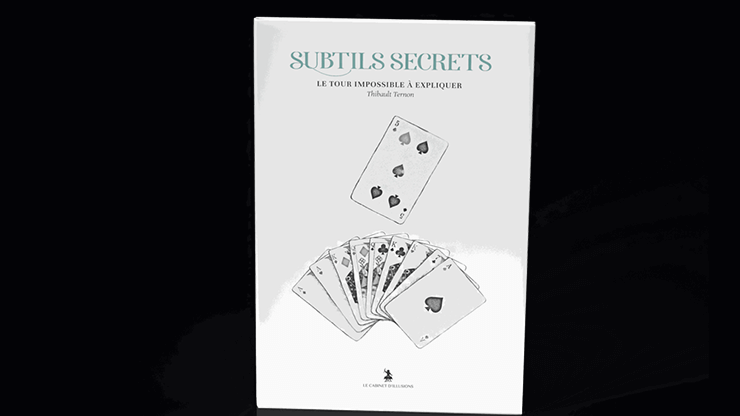 Subtle Secrets 2 by Thibault Ternon