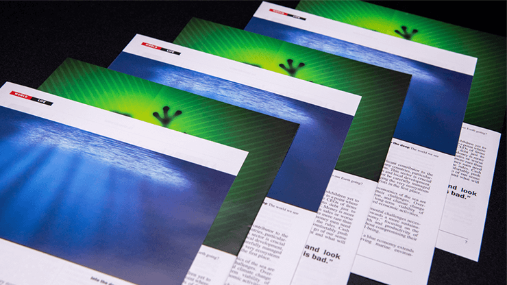 Don't Blink by Yvan Garmy