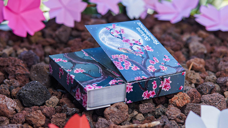 Sakura Renaissance 3D