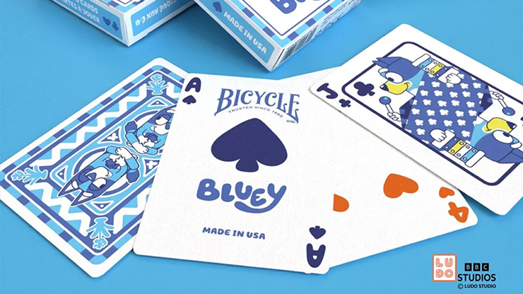 Bicycle Bluey