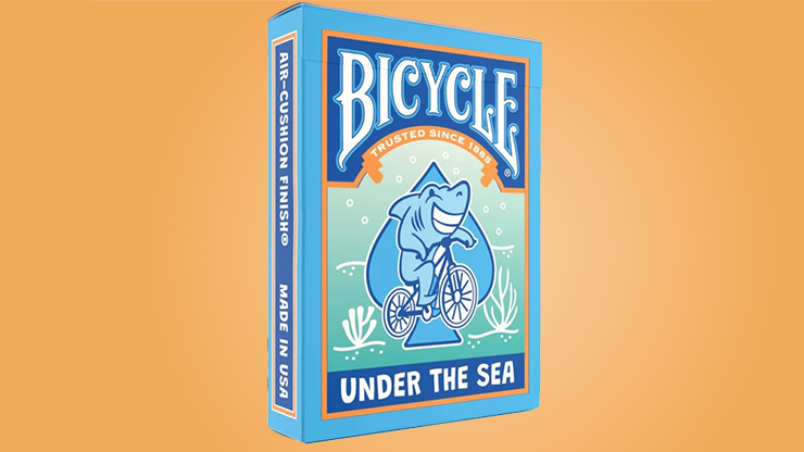 Bicycle Under the Sea