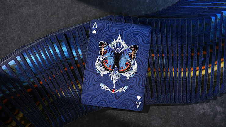 Morpho V2