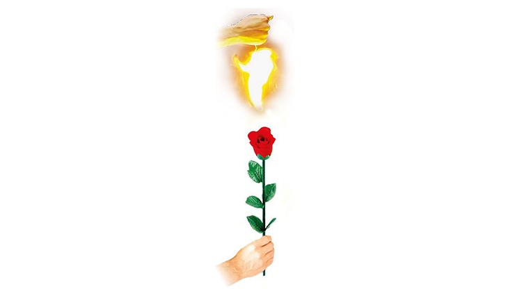 Instant Rose