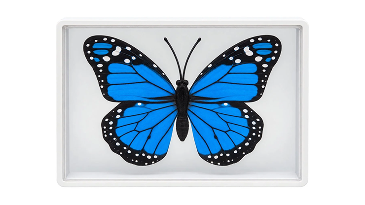 Omni Butterfly