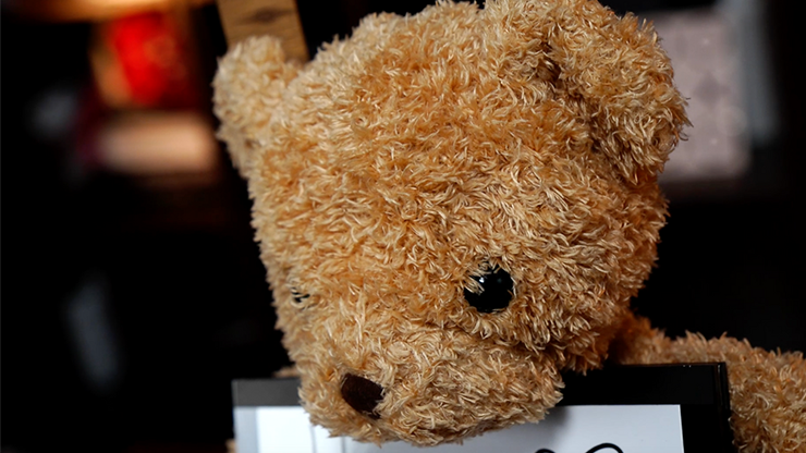 Teddy Unframed