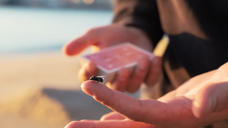 The Fly Lite product video — 52Kards