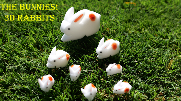 The Bunnies! 3D Rabbits (Parents, Kids & Grandpa) product video — 52Kards