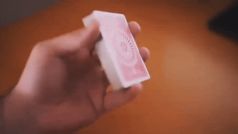 Tally Ho Circle Back