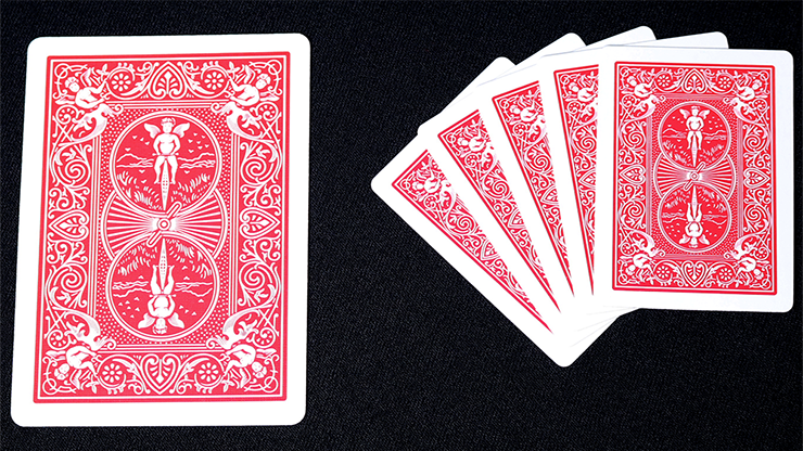 Mini Bicycle Cards