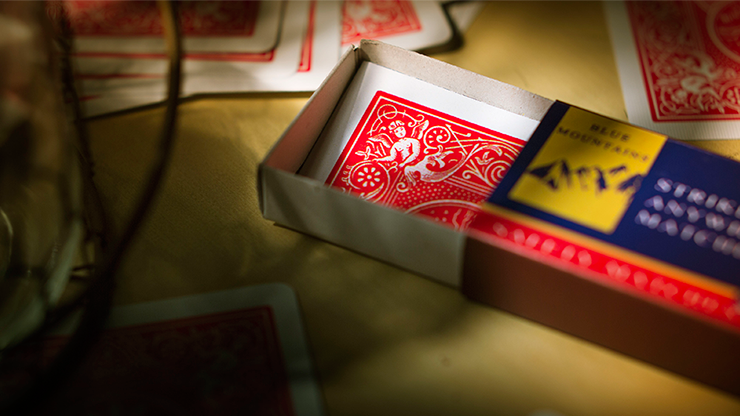 Burn Notice - Playing Cards and Magic Tricks - 52Kards