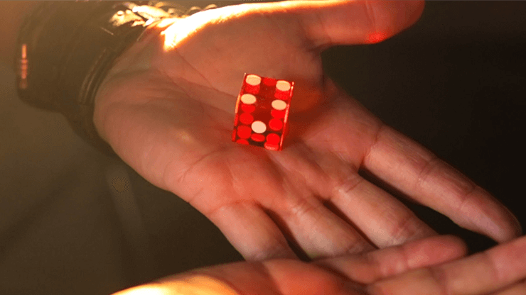 Gecko Pro System - Playing Cards and Magic Tricks - 52Kards