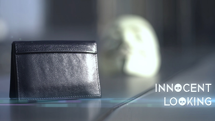 The Viper Wallet