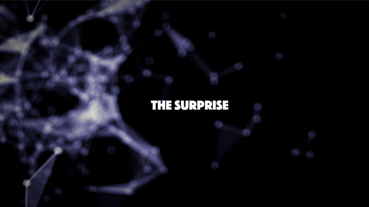 The Surprise