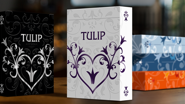 Tulip