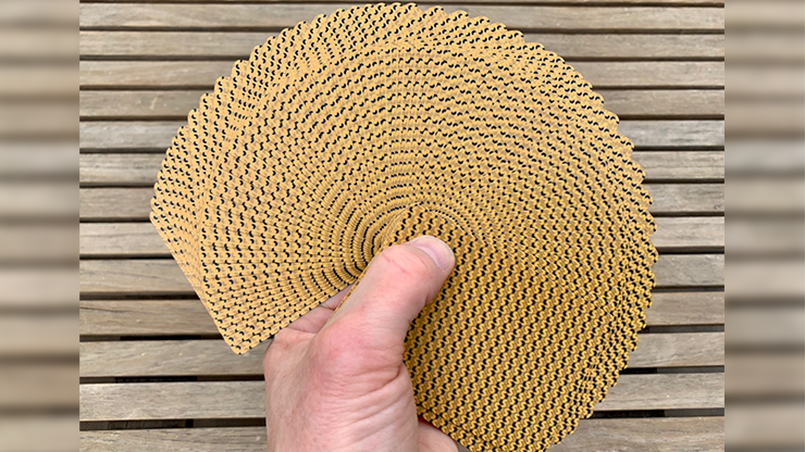 Cotta's Almanac #3 Transformation