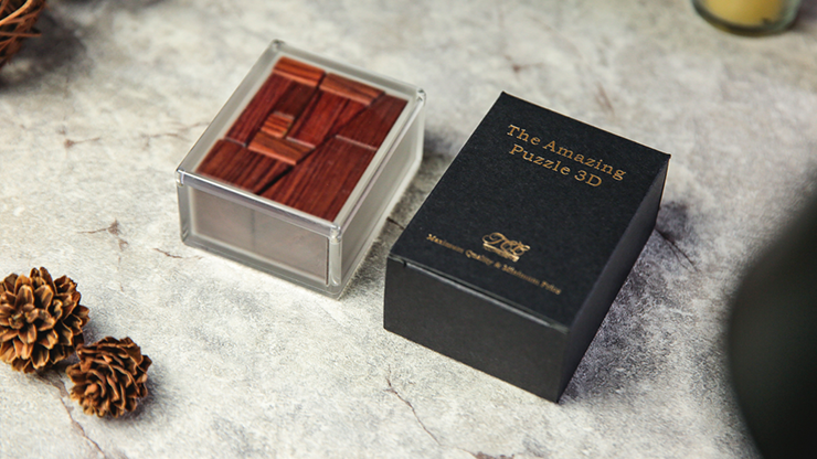 3D Perpetual Puzzle