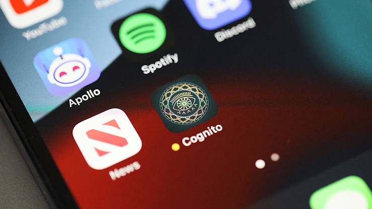Cognito