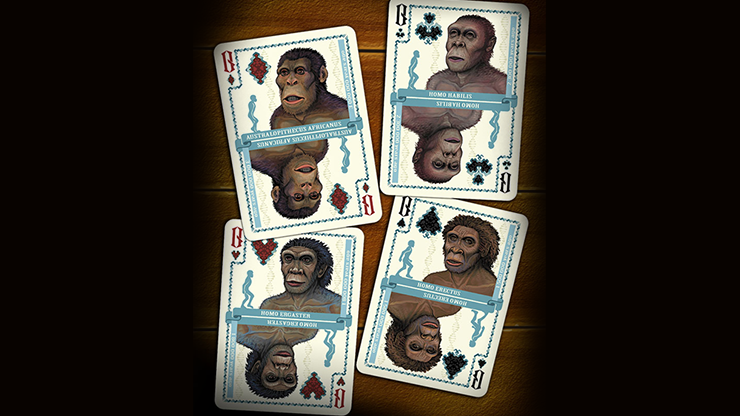 Evolution Of Mankind