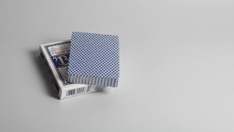 Bee - Playing Cards and Magic Tricks - 52Kards