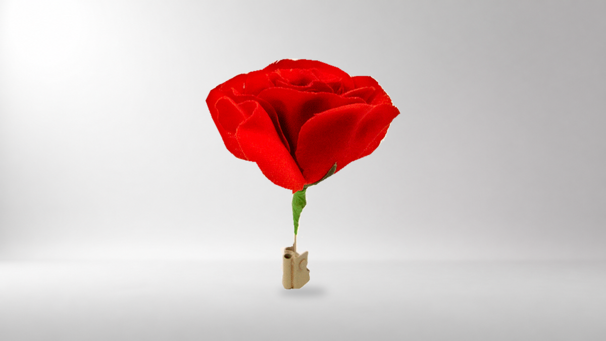Match to Rose by Mr. Magic - Trick on a neutral studio background