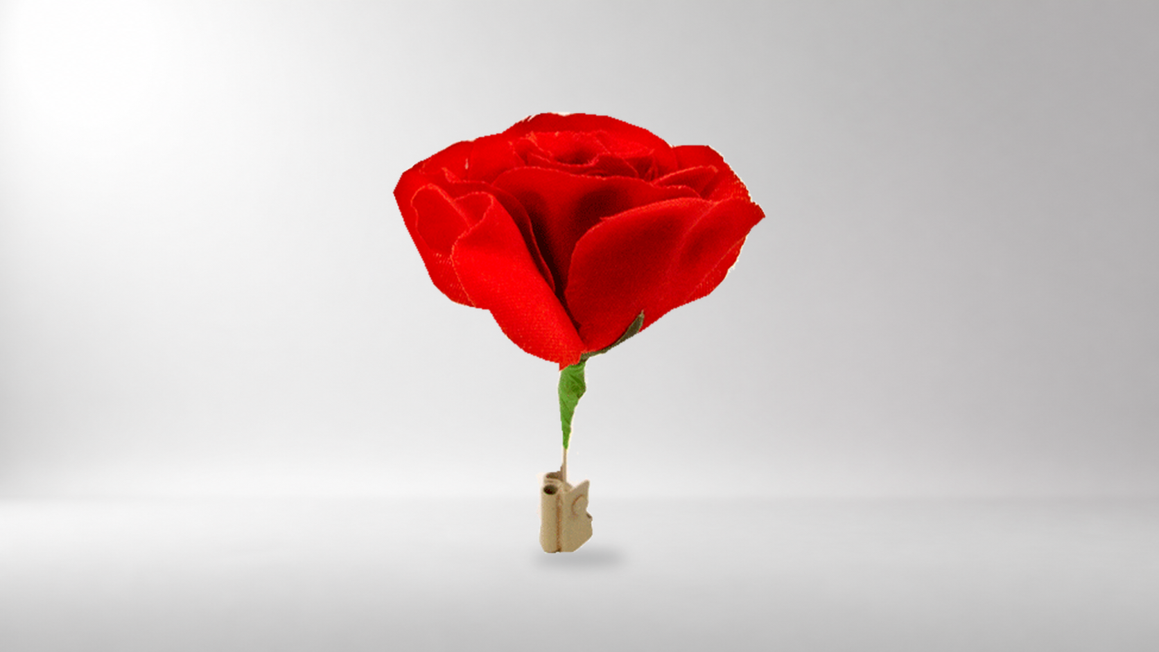 Match to Rose by Mr. Magic - Trick on a neutral studio background