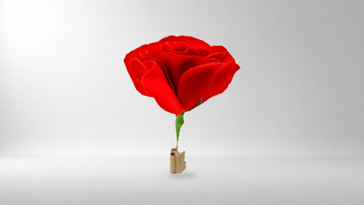 Match to Rose by Mr. Magic - Trick on a neutral studio background