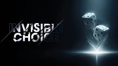 The Invisible Choice by Thomas Riboulet