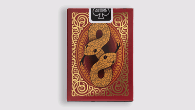 Bicycle Snake