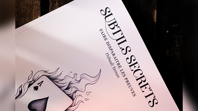 Subtle Secrets 1 by Thibault Ternon