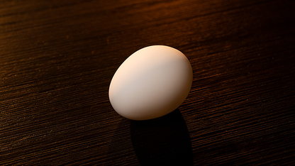 The Egg