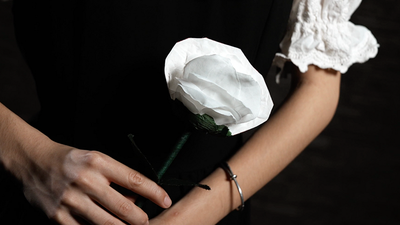 Fantasy Rose by Leon, Bond Lee & MS Magic