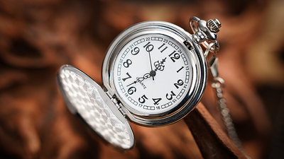 The Gemini Watch