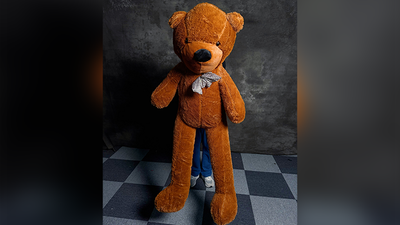Teddy Bear Appearance (Extra Large)