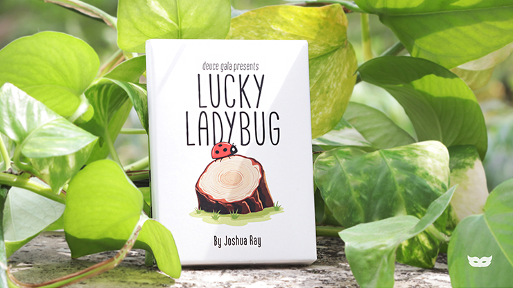 Lucky Ladybug (Leaf)
