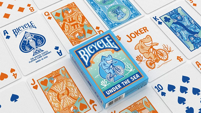 Bicycle Under the Sea