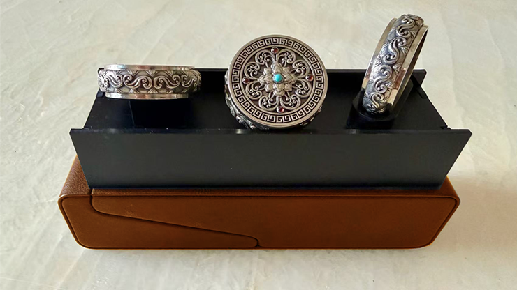 Coin Vault Case and Display Set