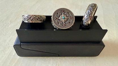 Coin Vault Case and Display Set