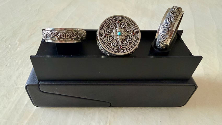 Coin Vault Case and Display Set