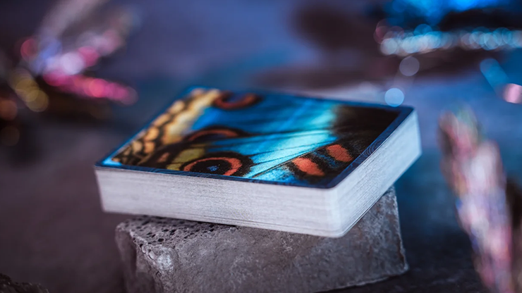 Morpho V2
