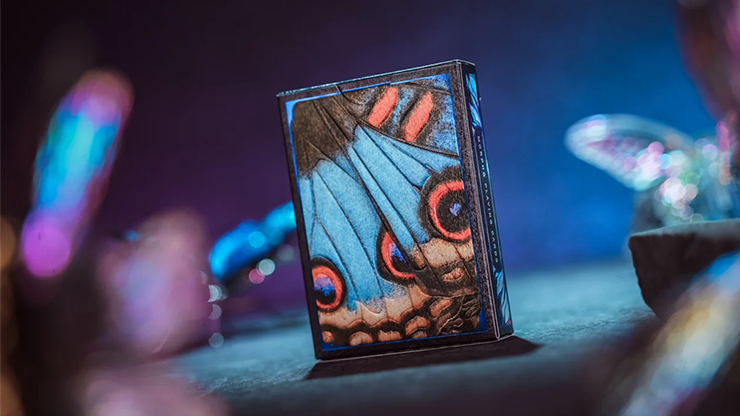 Morpho V2