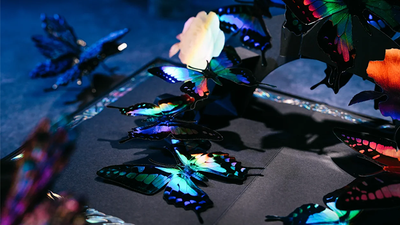 Morpho V2 Playing Cards Collection Boxset