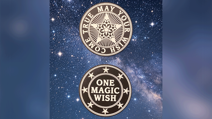 Giveaway Magic Wishing Coins (20 Plastic Coins)
