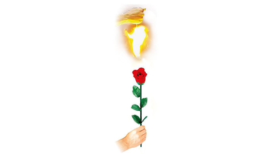 Instant Rose