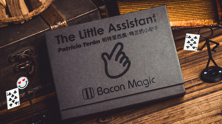 Little Assistant
